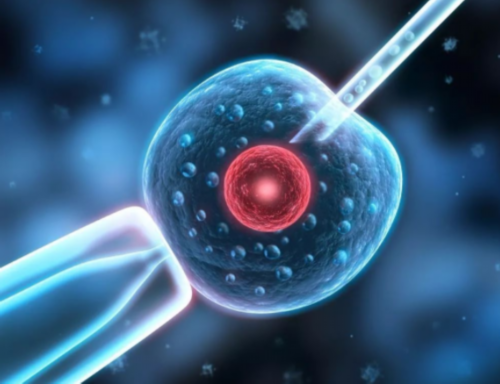 摆脱子宫内膜异位症困扰：食疗助你重获健康