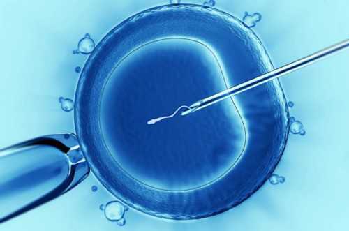 探秘怀孕10天：早期妊娠检测的奥秘