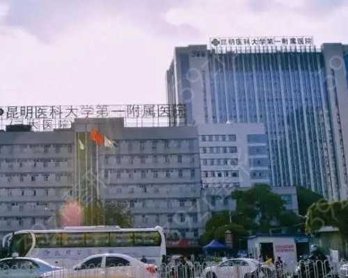 深入研究：如何有效诊断子宫肌瘤病变？