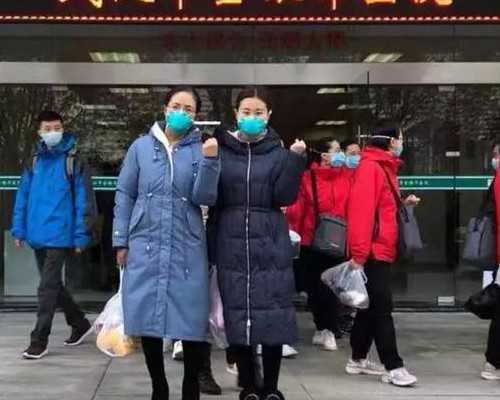 胚胎912和811哪个好(胚胎931是什么意思)