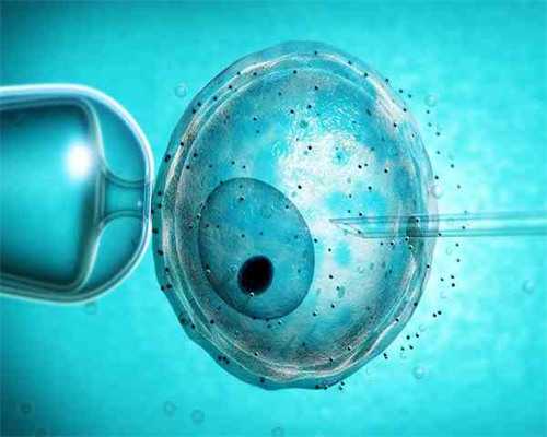 同卵双胞胎发育过程图