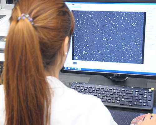 试管婴儿取卵手术前女性需要做什么准备？