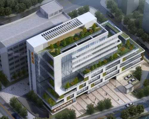 子宫肌瘤:了解其典型症状及其健康影响