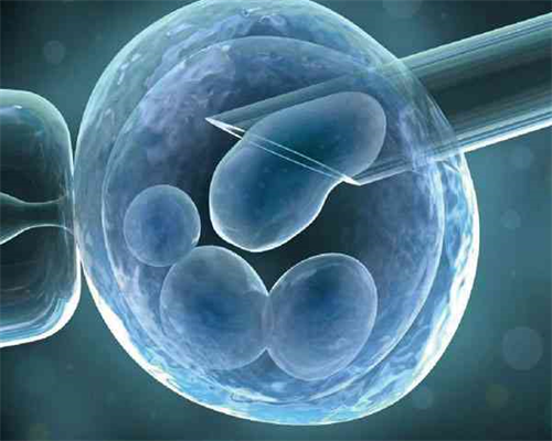 诚聘试管代妈_代妈的公司介绍,胚胎移植不着床的征兆有哪些，都用在哪里！