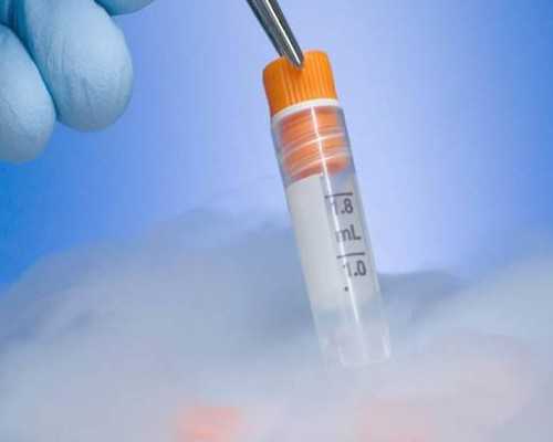 智力与脑勺扁平:是智商的晴雨表,还是只是一个无关紧要的特征?