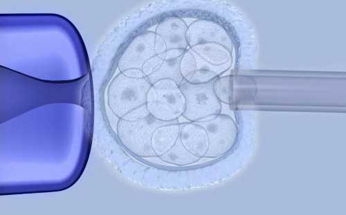 着床期胸胀就预示失败了？其实并不是这样